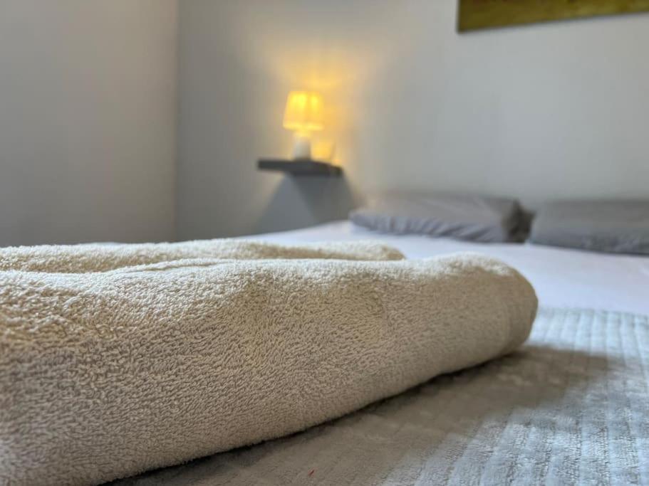 Ferienwohnung T2 Calme Et Paisible Parking Carcassonne Exterior foto